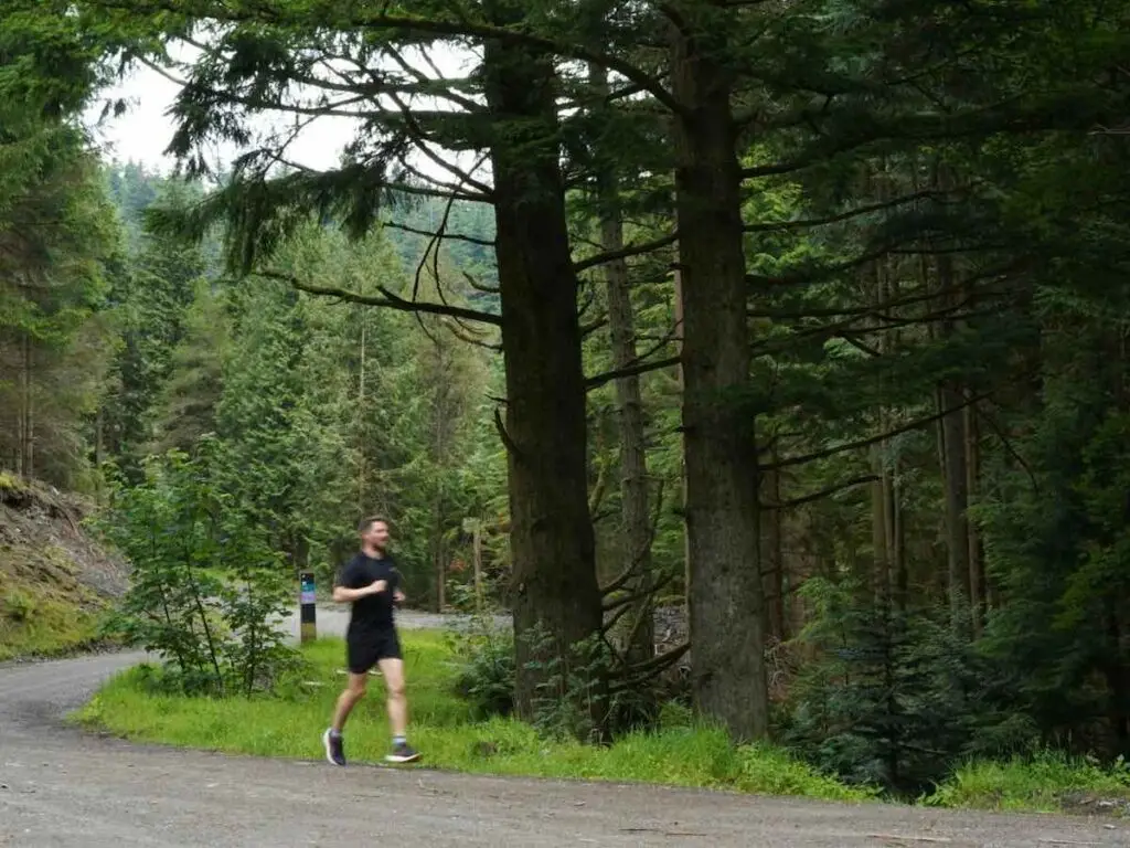 Joy Runner in wooded area with trees - Whinlatter forest