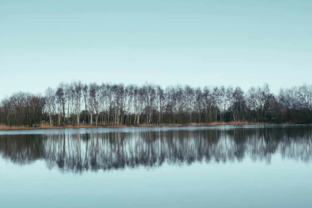 Reflections in water over a line of trees