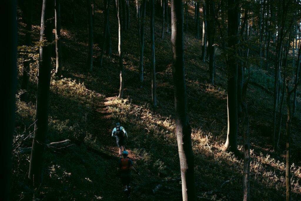 Running through a dark forest