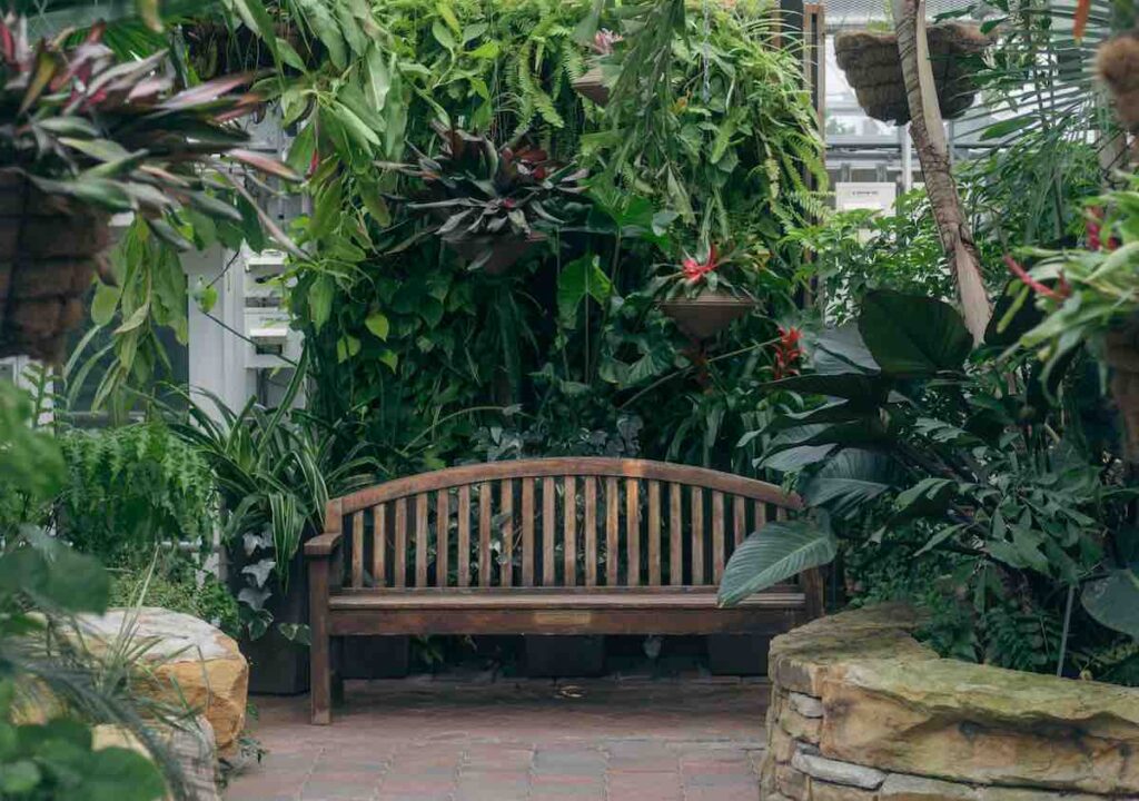 Bench nook surrounded by plants