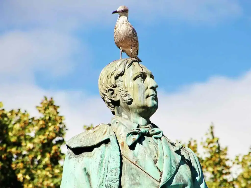 Bird on a statue in a park