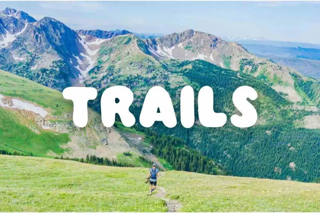Trail runner in lush mountains