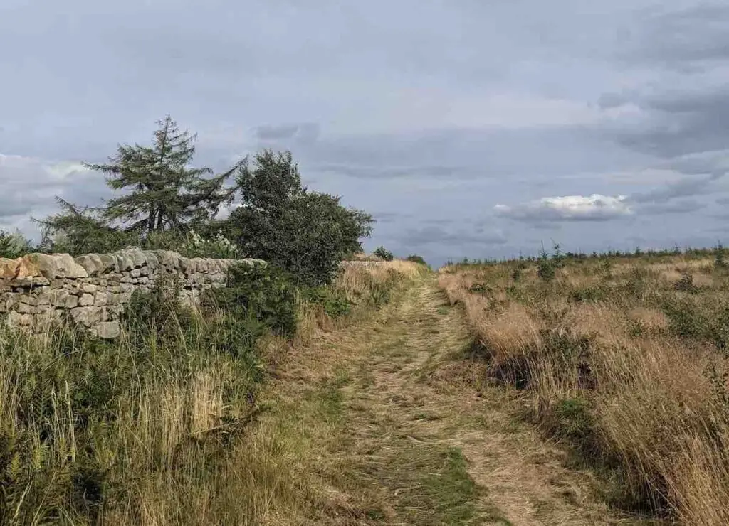 Hadrians Wall route along Military Way B6318